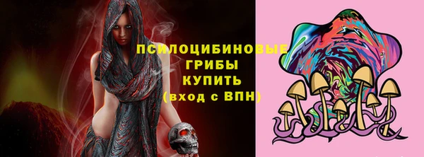ешки Армянск