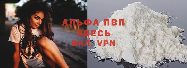 стафф Тавда