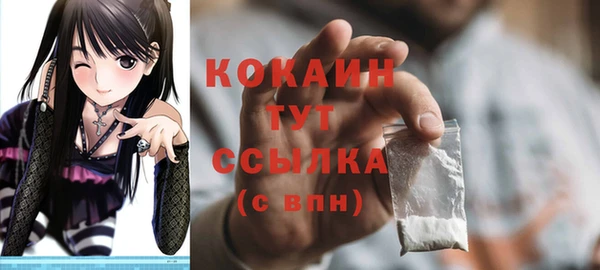 кокс Алексин