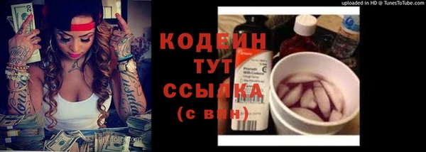 твердый Аркадак