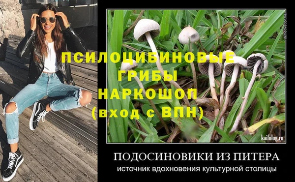 тгк Арсеньев