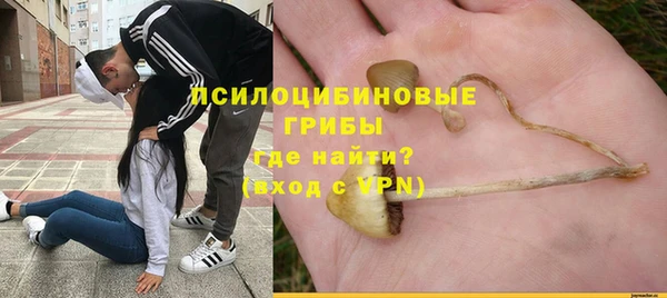 твердый Аркадак