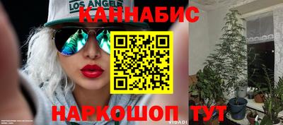 гидропоника Будённовск