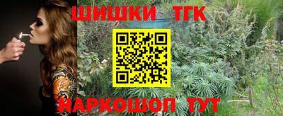 гидропоника Будённовск